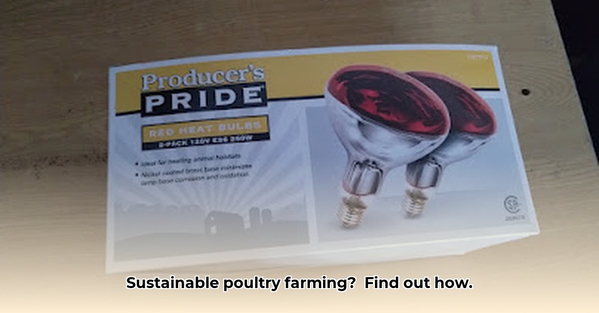 brooder-lamp-tractor-supply